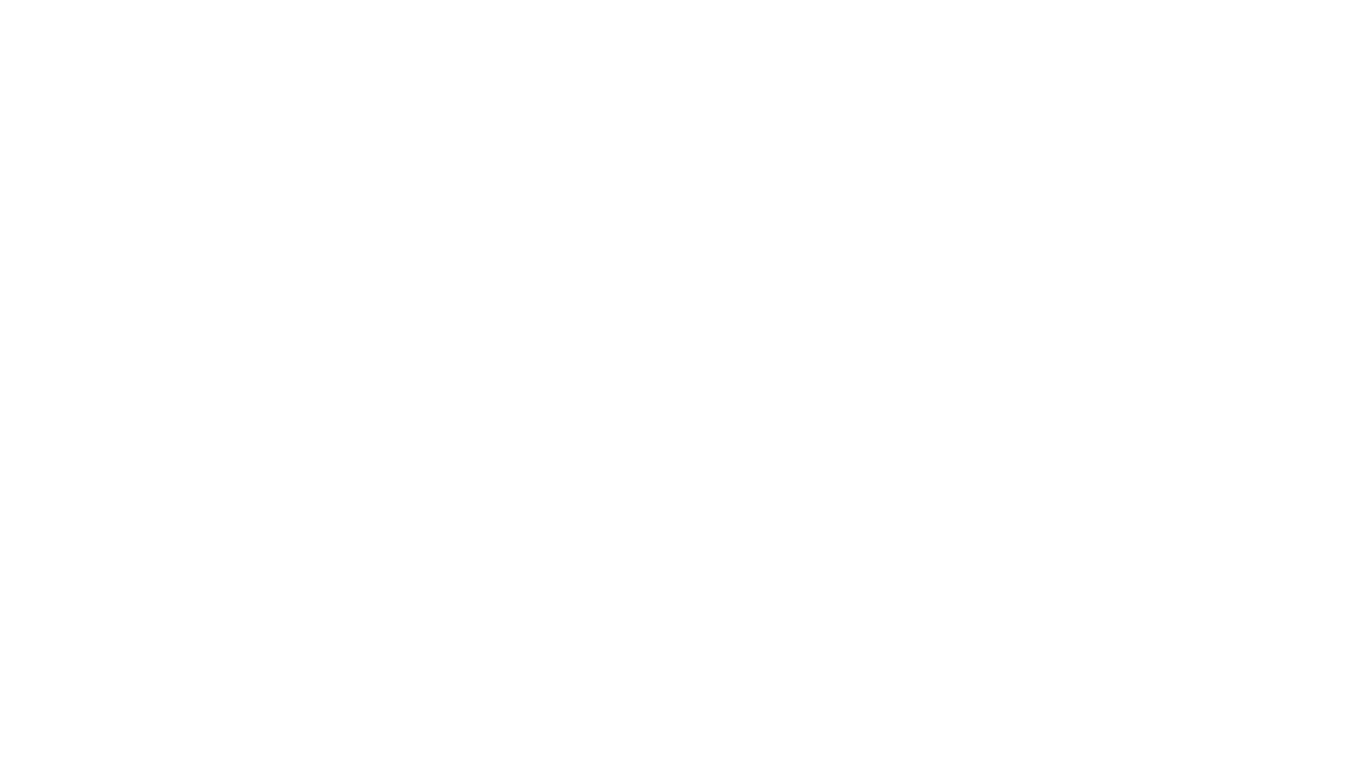Procar_Automobile_GmbH_Dirk_Roland_Logo_white_1920px.png