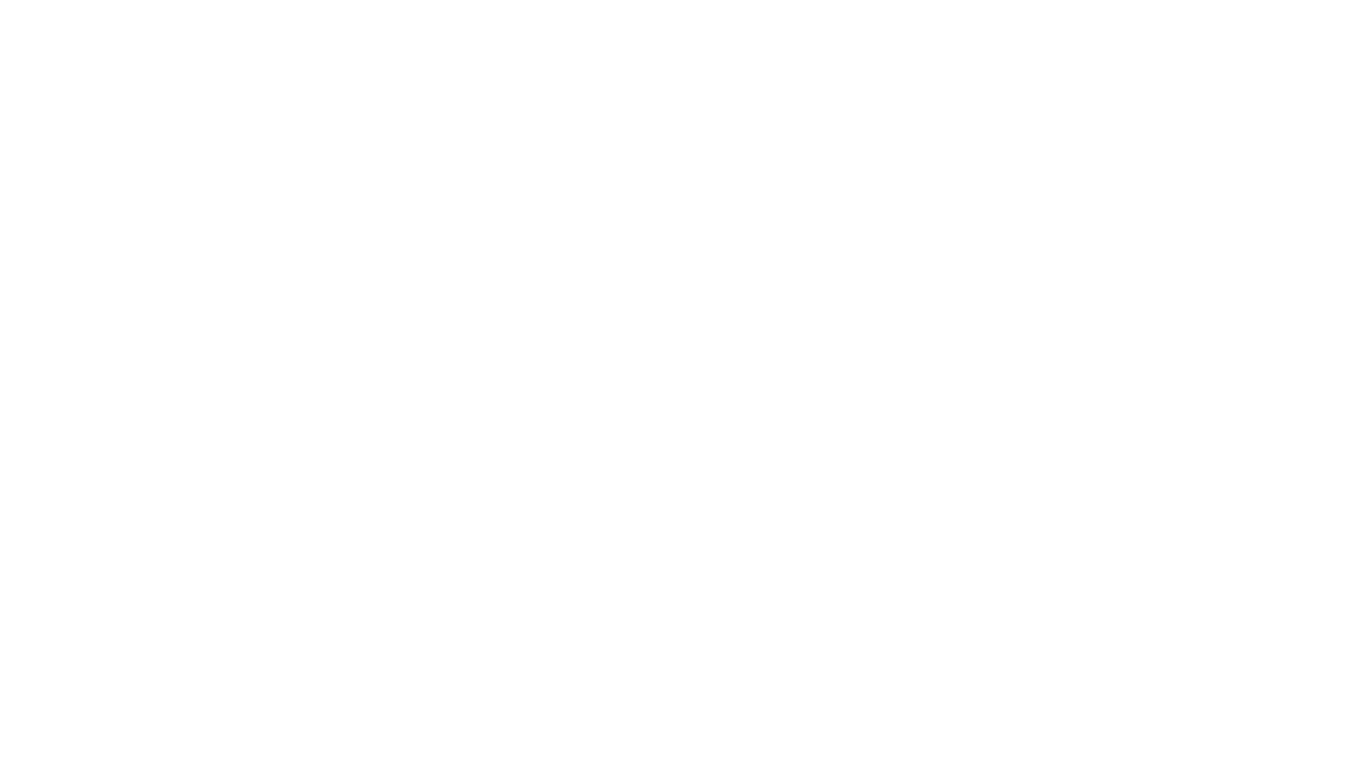 SAG_Schlagbaum_Logo_1C_white_1920px.png