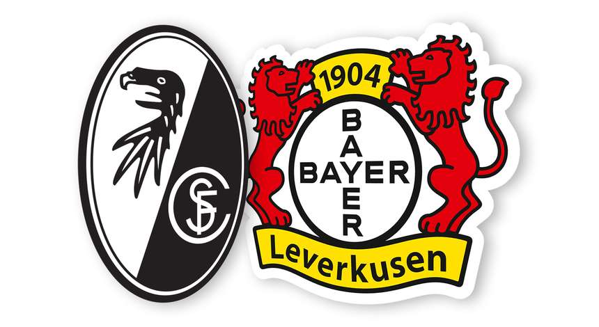 SC_Freiburg_Bayer04_1718.jpg