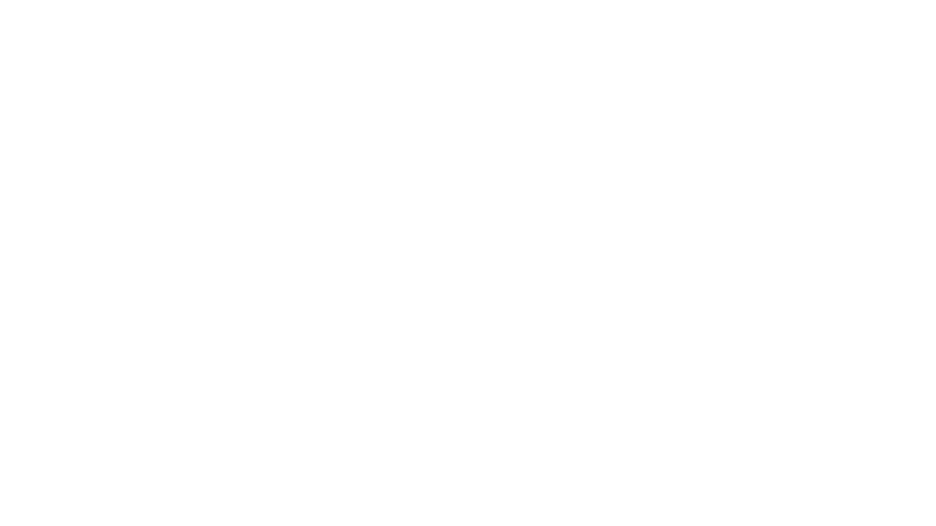 STFassaden Logo