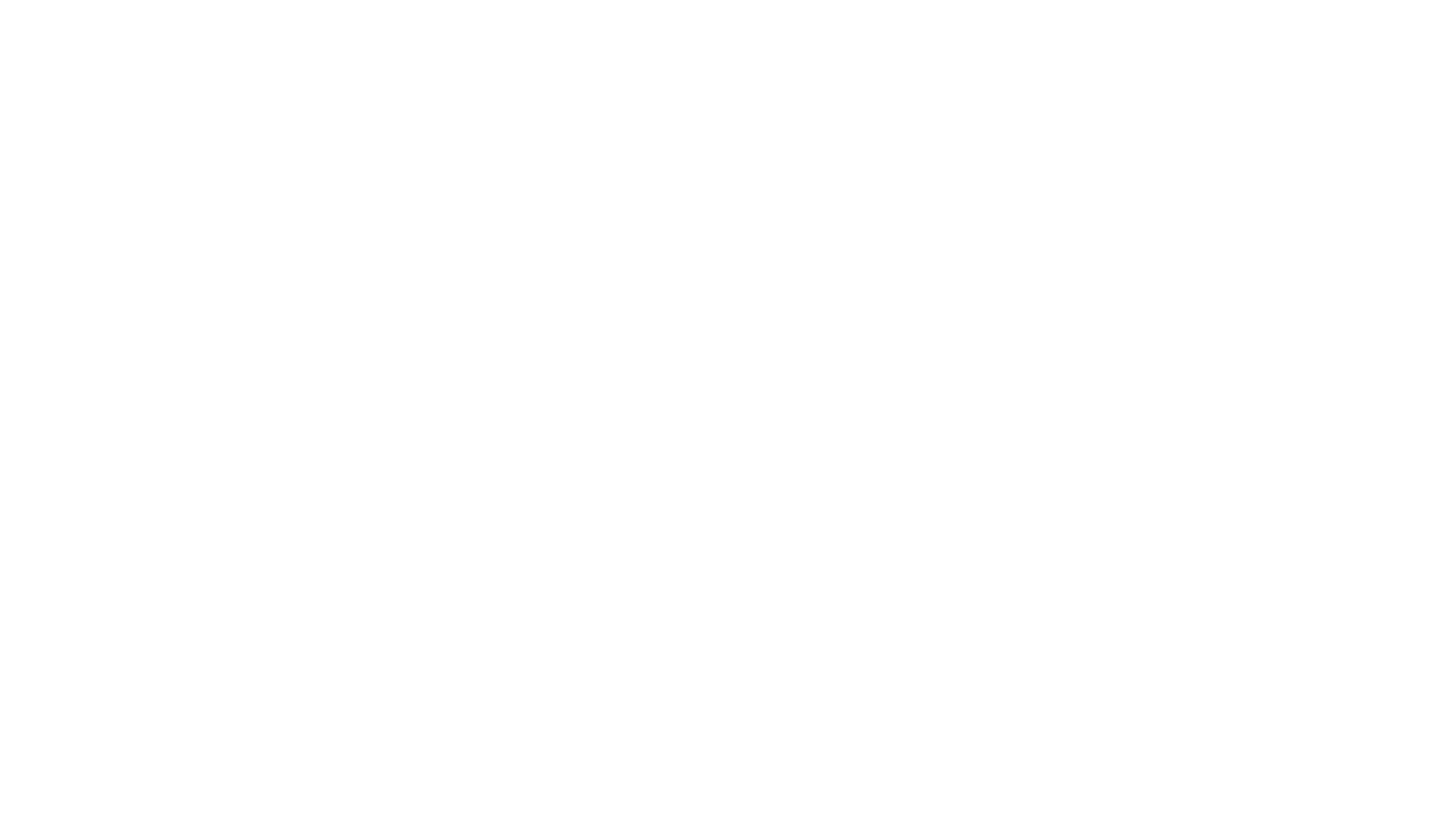 Schuligen_Maler_und_Akkustikbau_GmbH_Logo_white.png