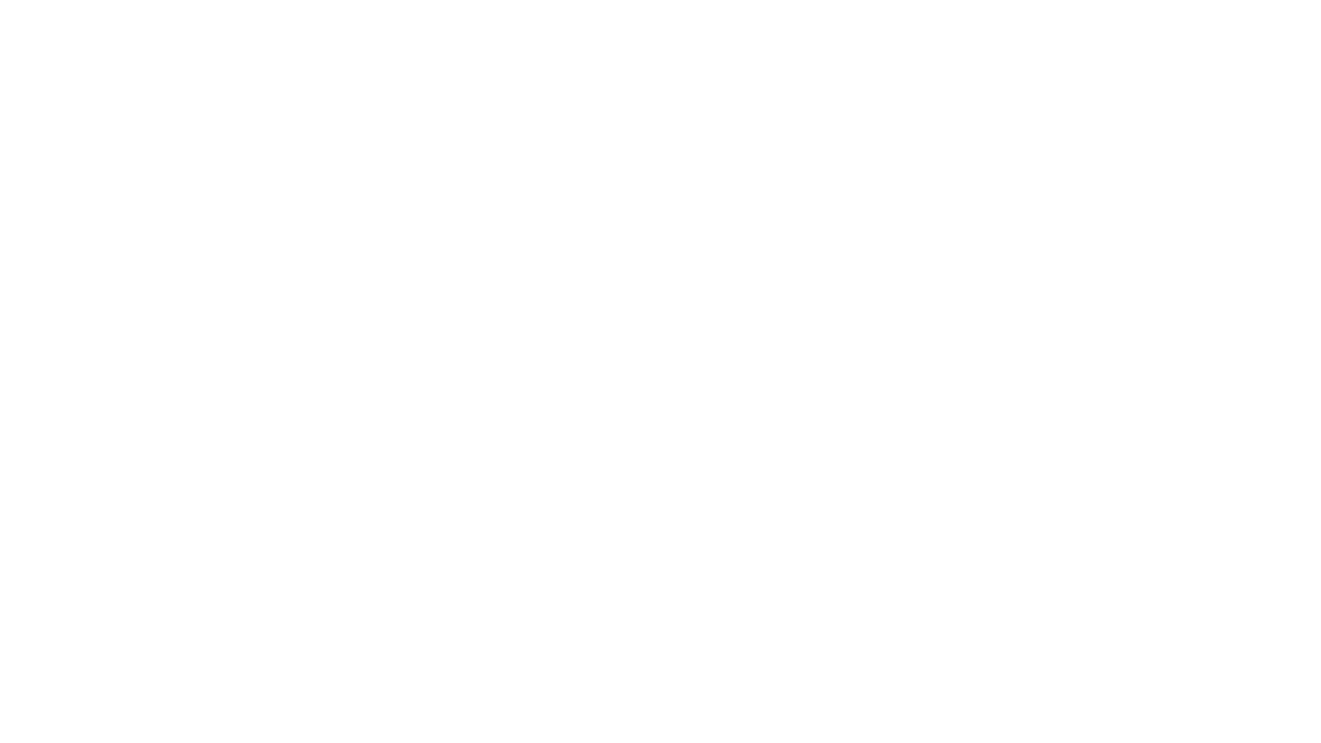 Schulte_Nachf_GmbH_Logo_white.png