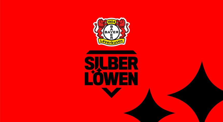 Silberlöwen Hero Slider