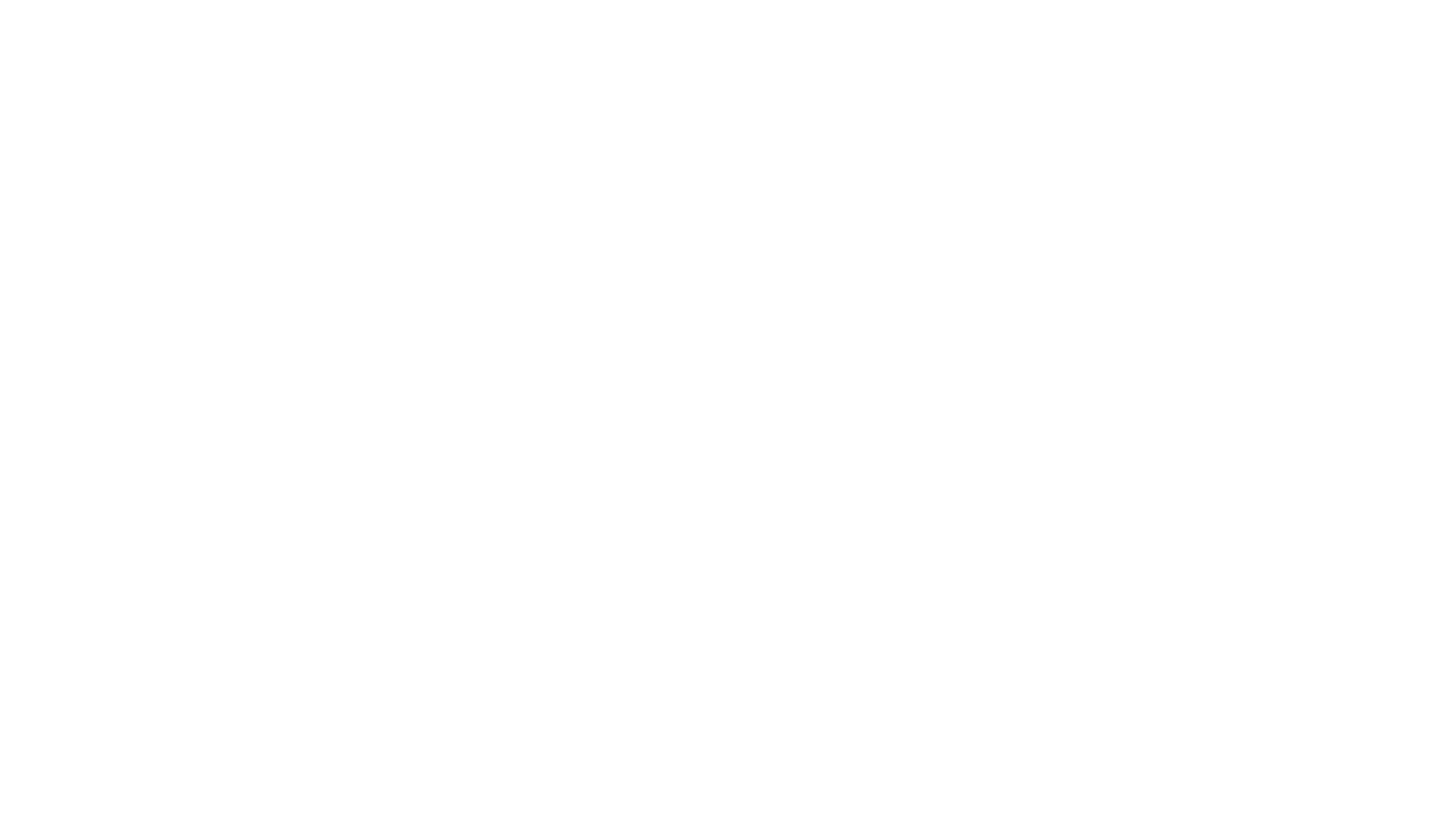 Subvenio_Logo_white.png
