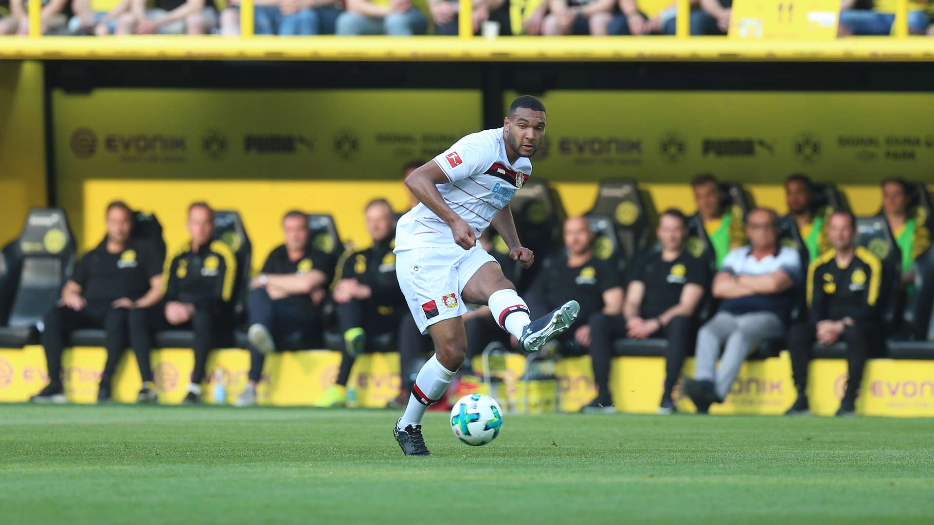 Tah sufre un desgarro en el tendón de la corva | Bayer04.de