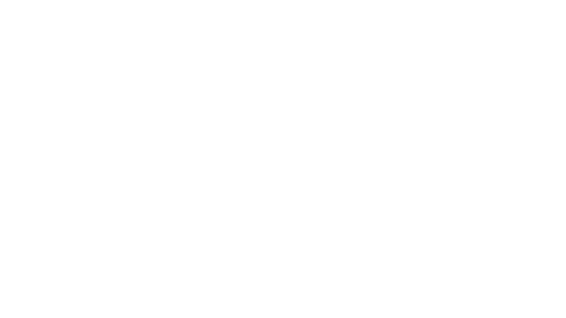 Vaillant_Logo_1c_white_1920px.png