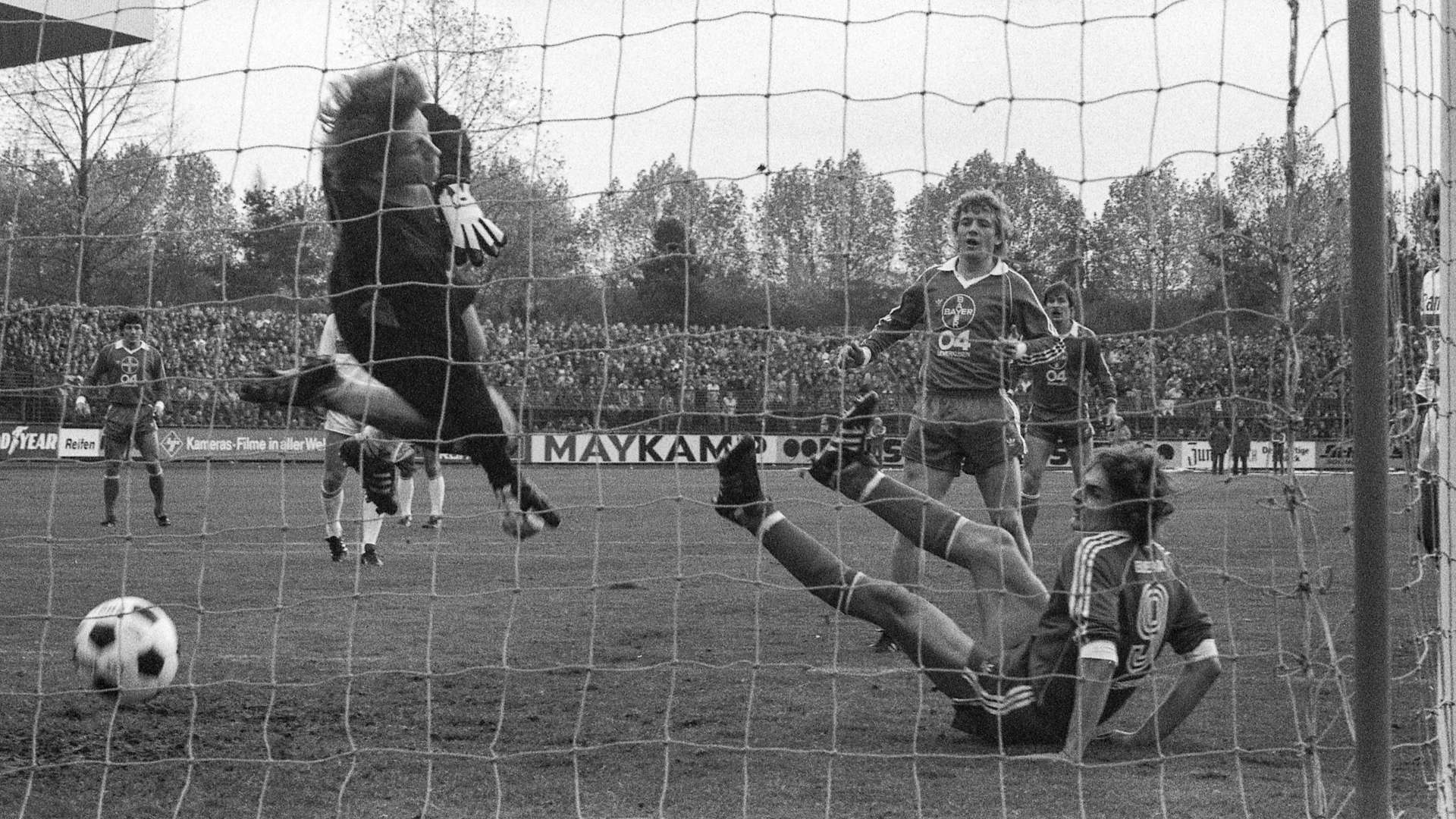 crop_19791110_B04_VFB_Szech_Posner_Hermann_Gelsdorf_imago16906393h.jpg