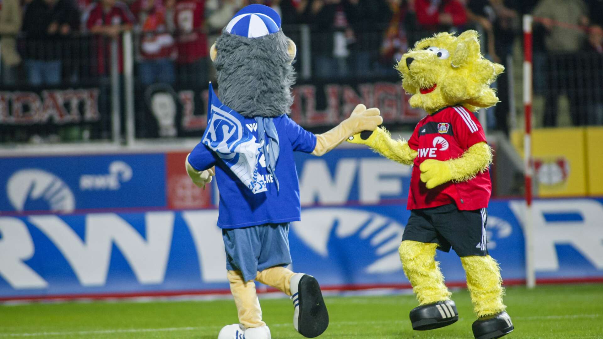 Brian the Lion und Erwin