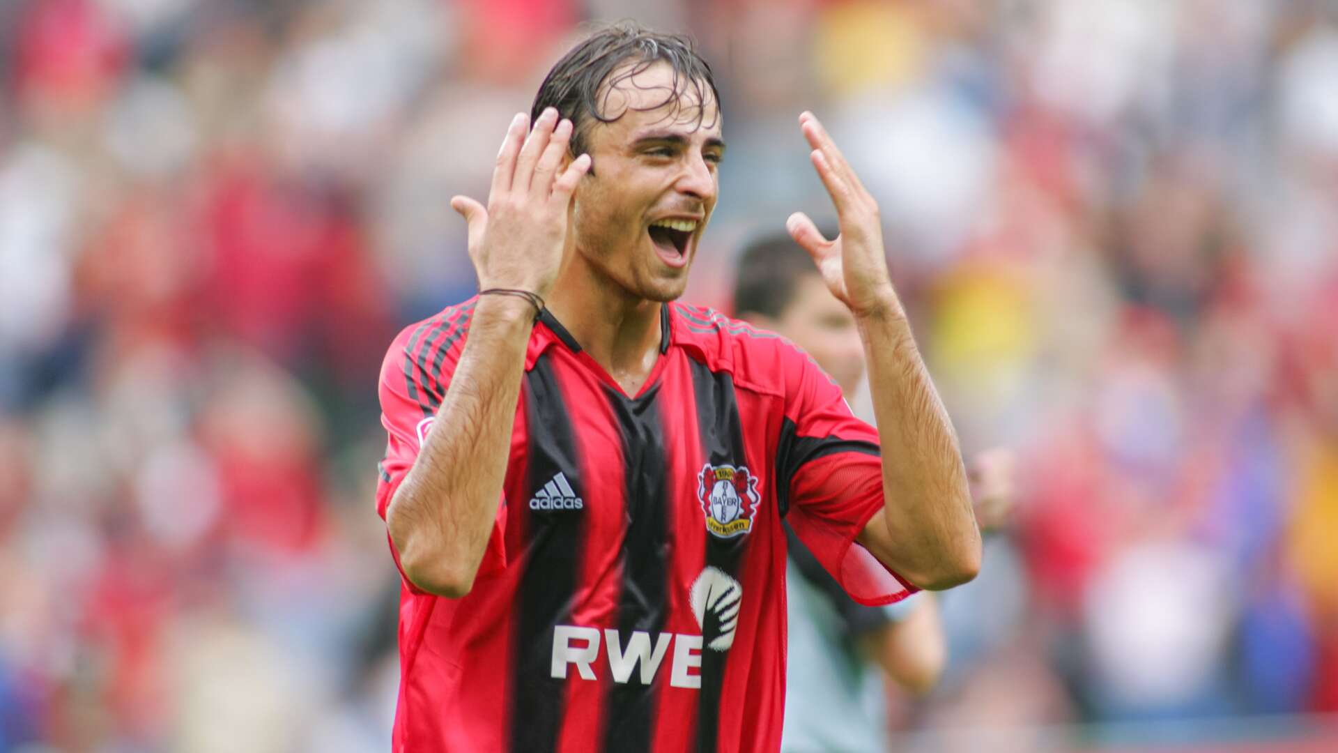 Dimitar Berbatov