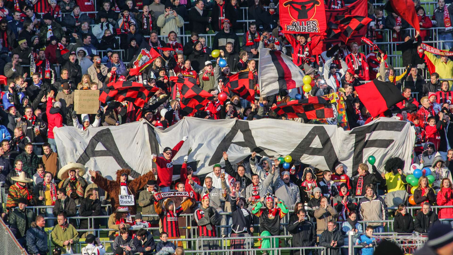 Bayer 04-Fans