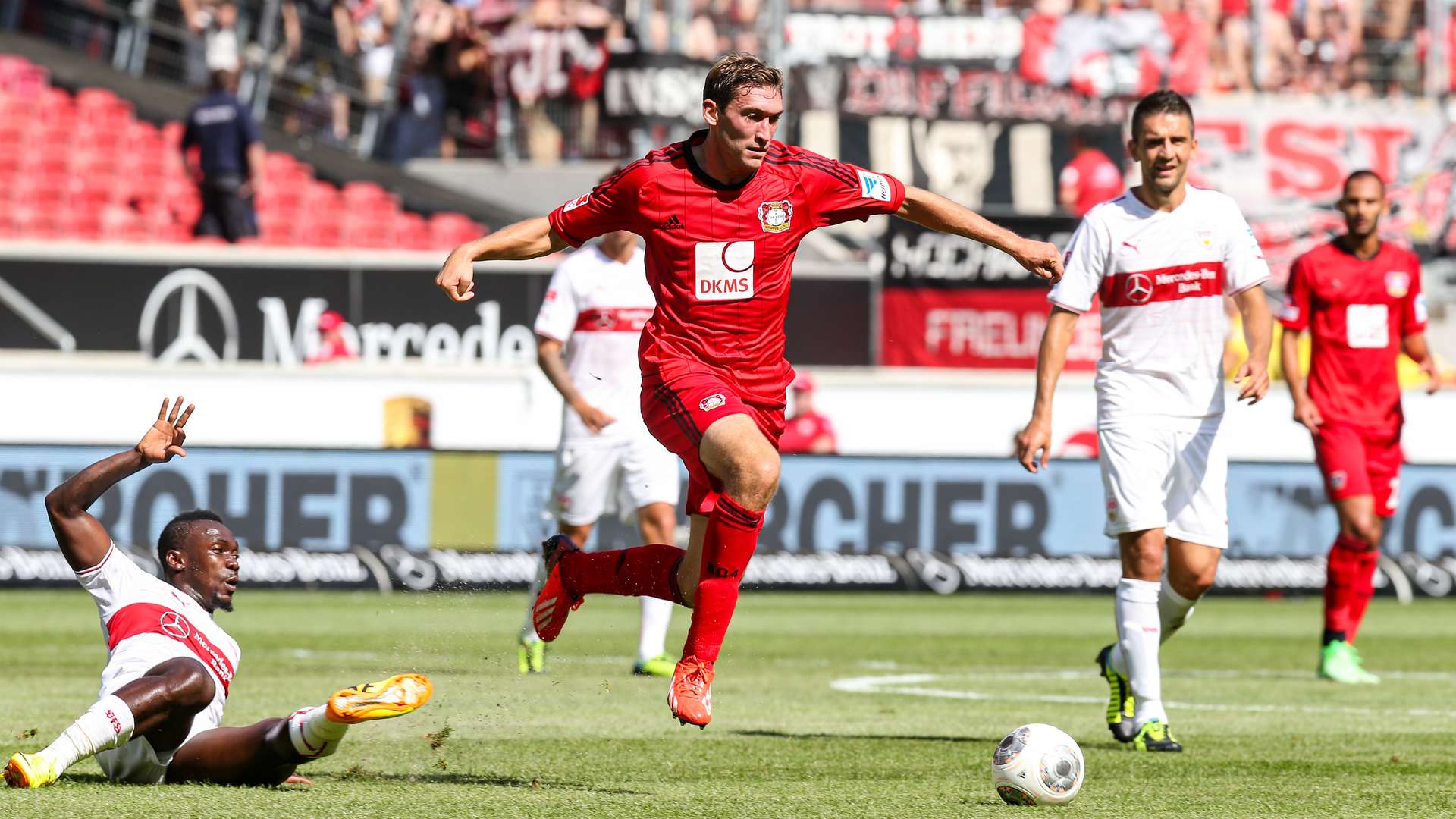 crop_20130817_VFB_B04_0031.jpg