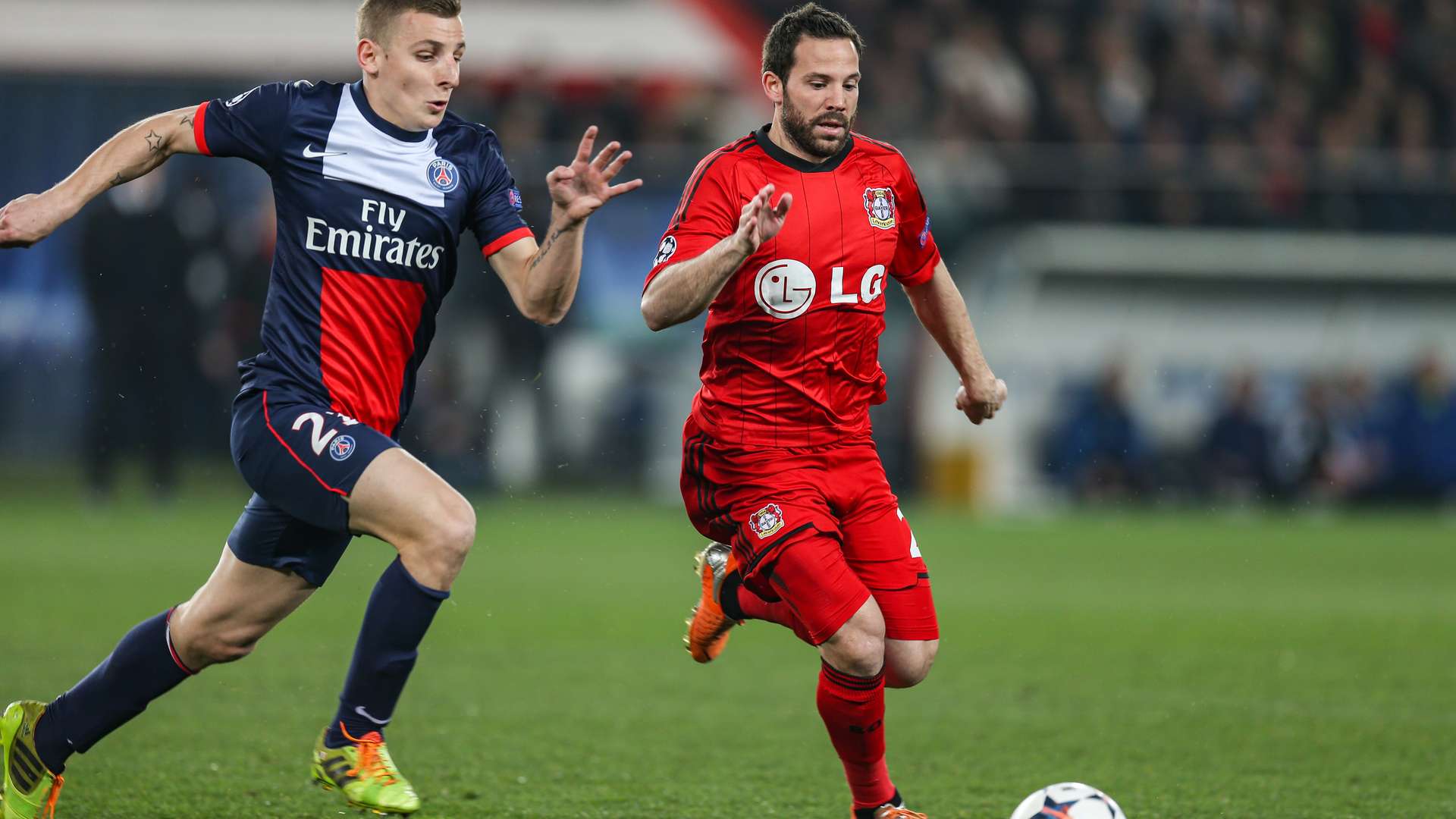crop_20140312_PSG_B04_0038.jpg