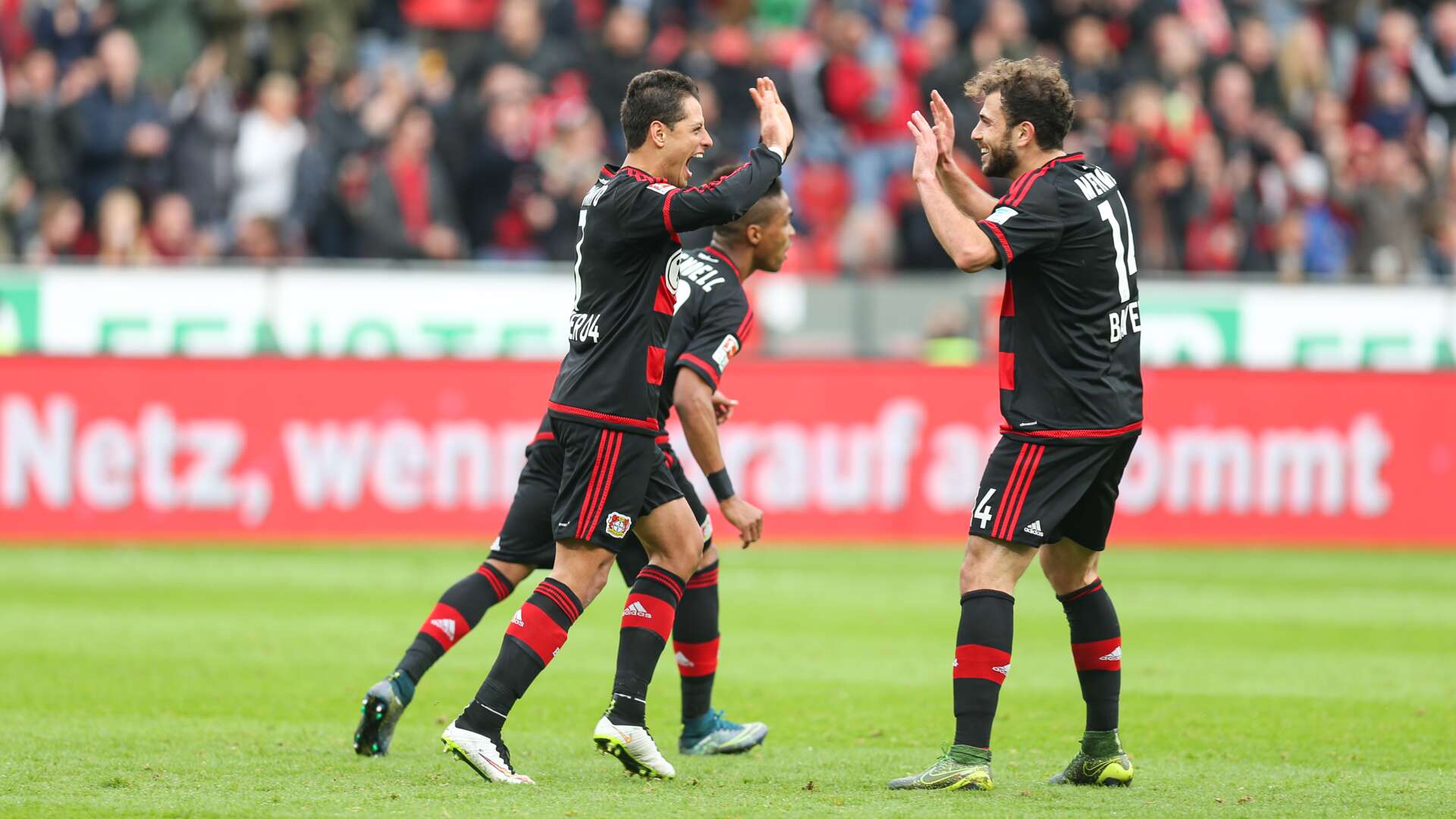 Bayer 04 gegen Stuttgart am 24. Oktober 2015