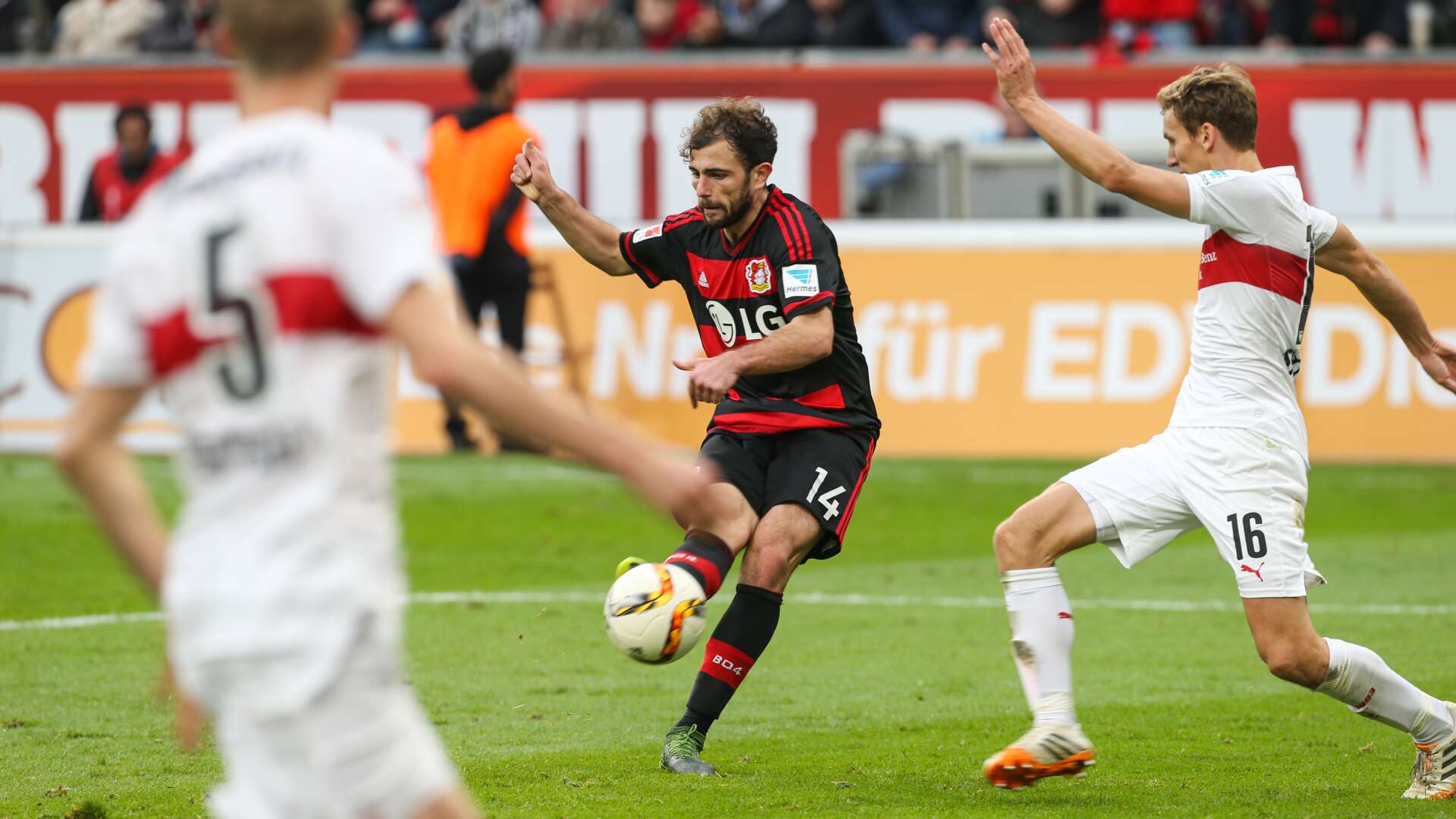 Bayer 04 gegen Stuttgart am 24. Oktober 2015