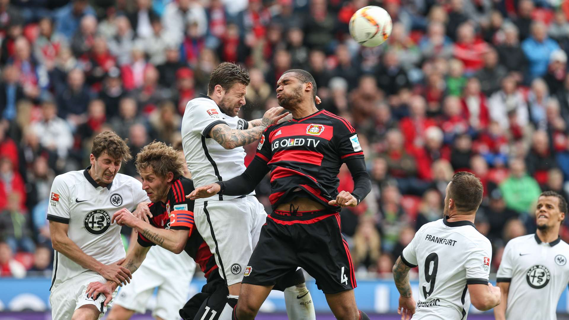 Bayer 04