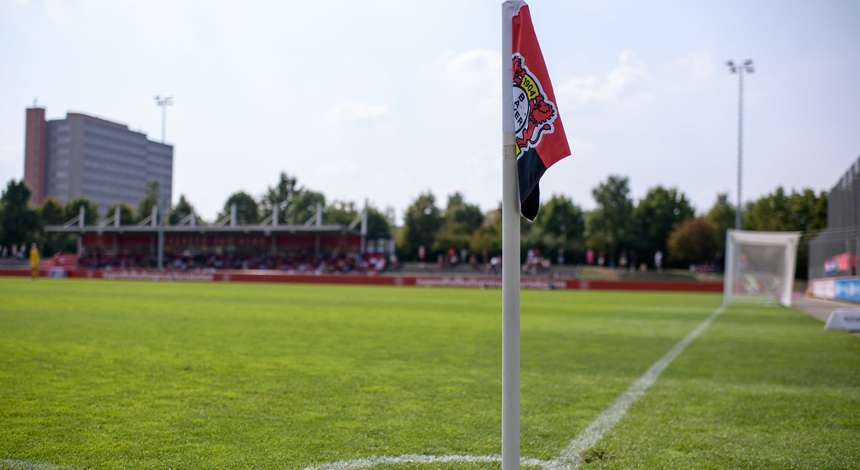 crop_20190825_Bayer04_Frauen_SC_Freiburg_Kurtekotten.jpg
