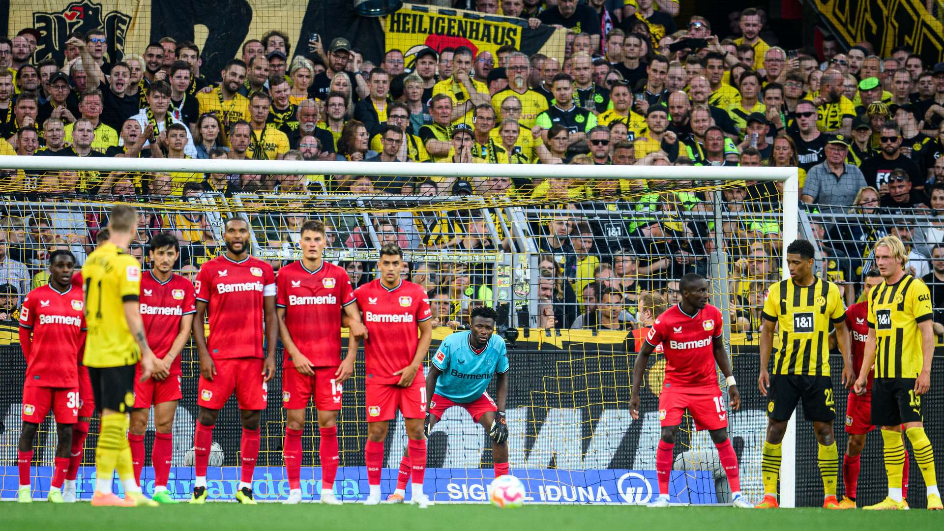 crop_20220806_JS_BVB_B04_2229.jpg