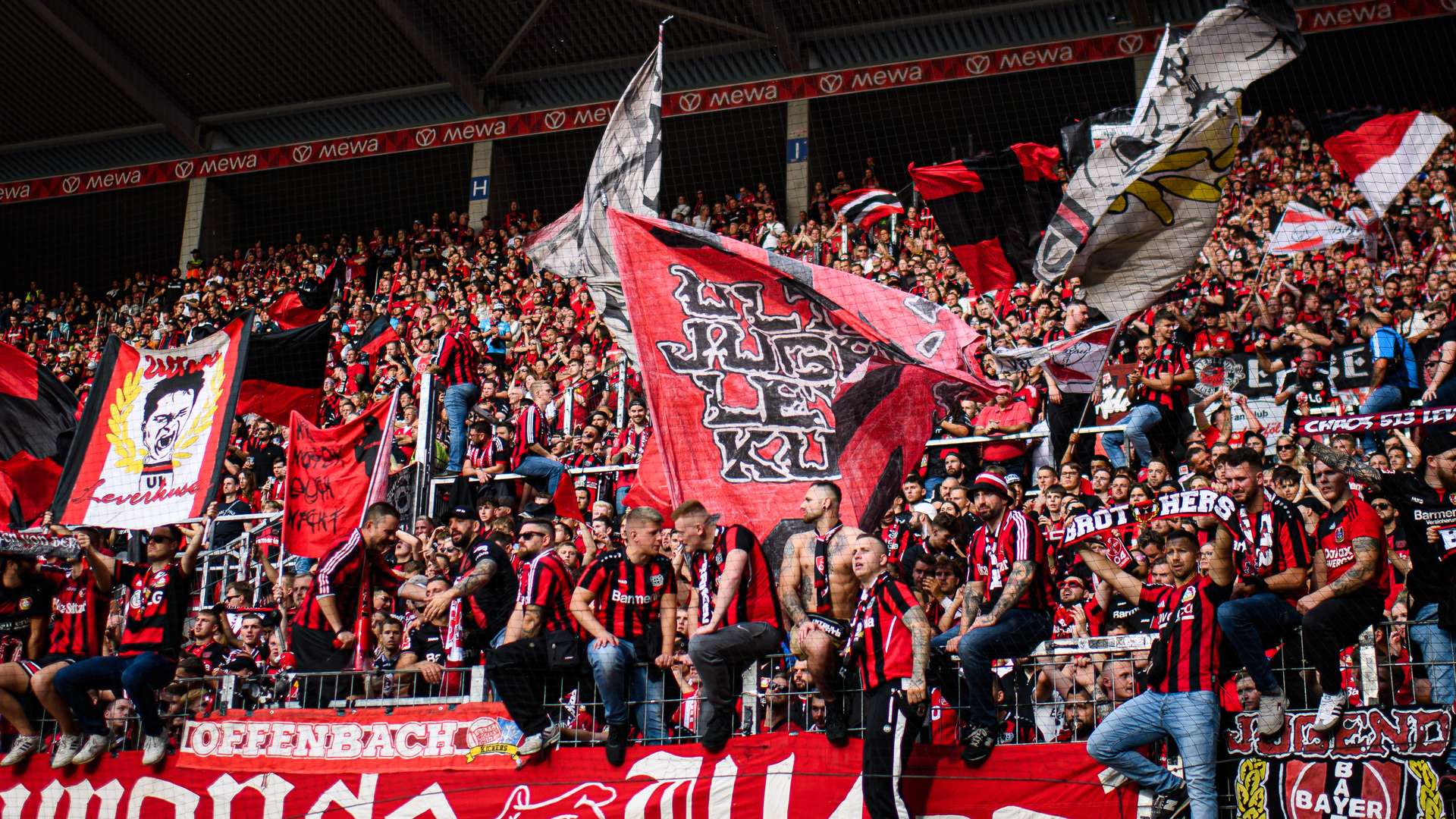 Die Bayer 04-Fans in Mainz