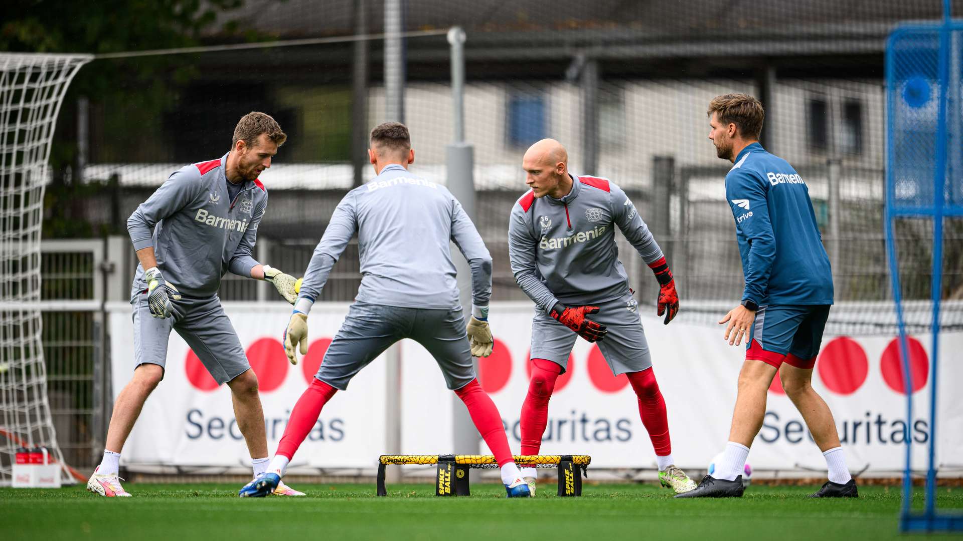 Dreiergespann beim Training