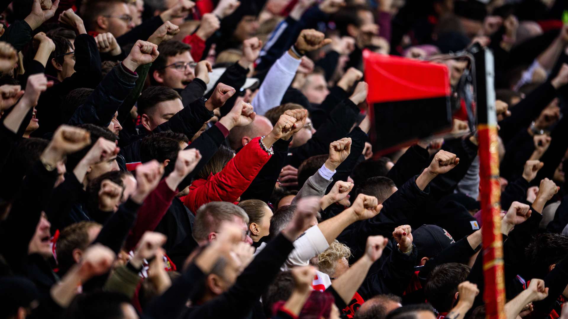 Bayer 04-Fans