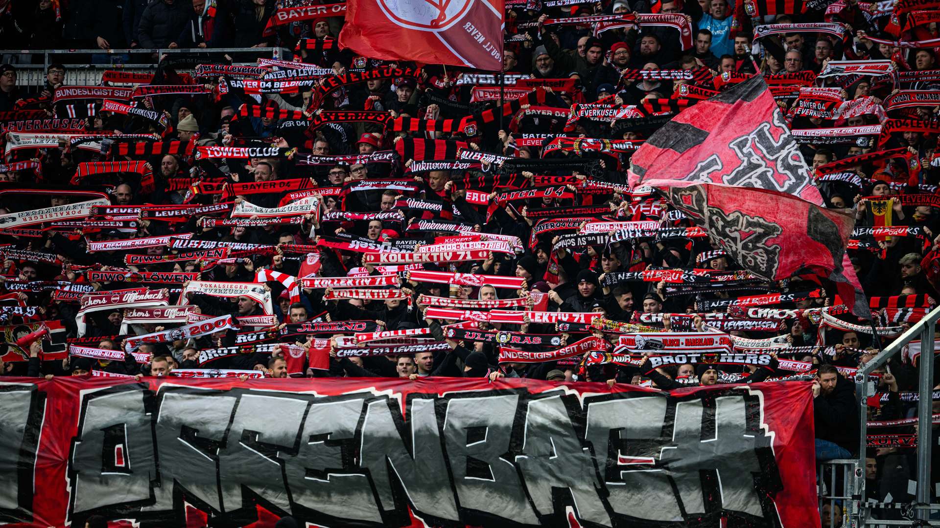 Bayer 04-Fans