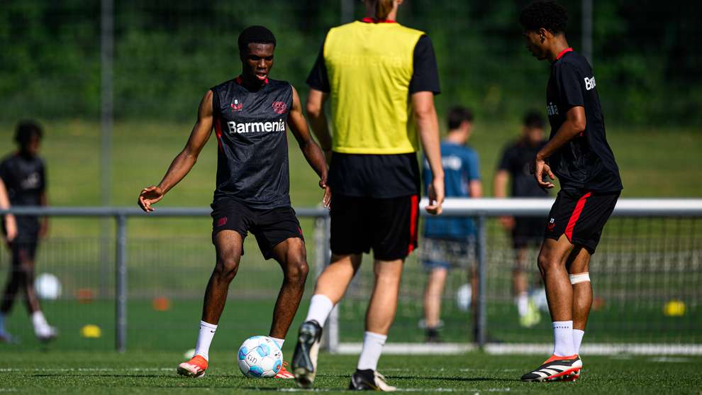 U19 Und U17: Spielpläne Der DFB-Nachwuchsligen Veröffentlicht | Bayer04.de