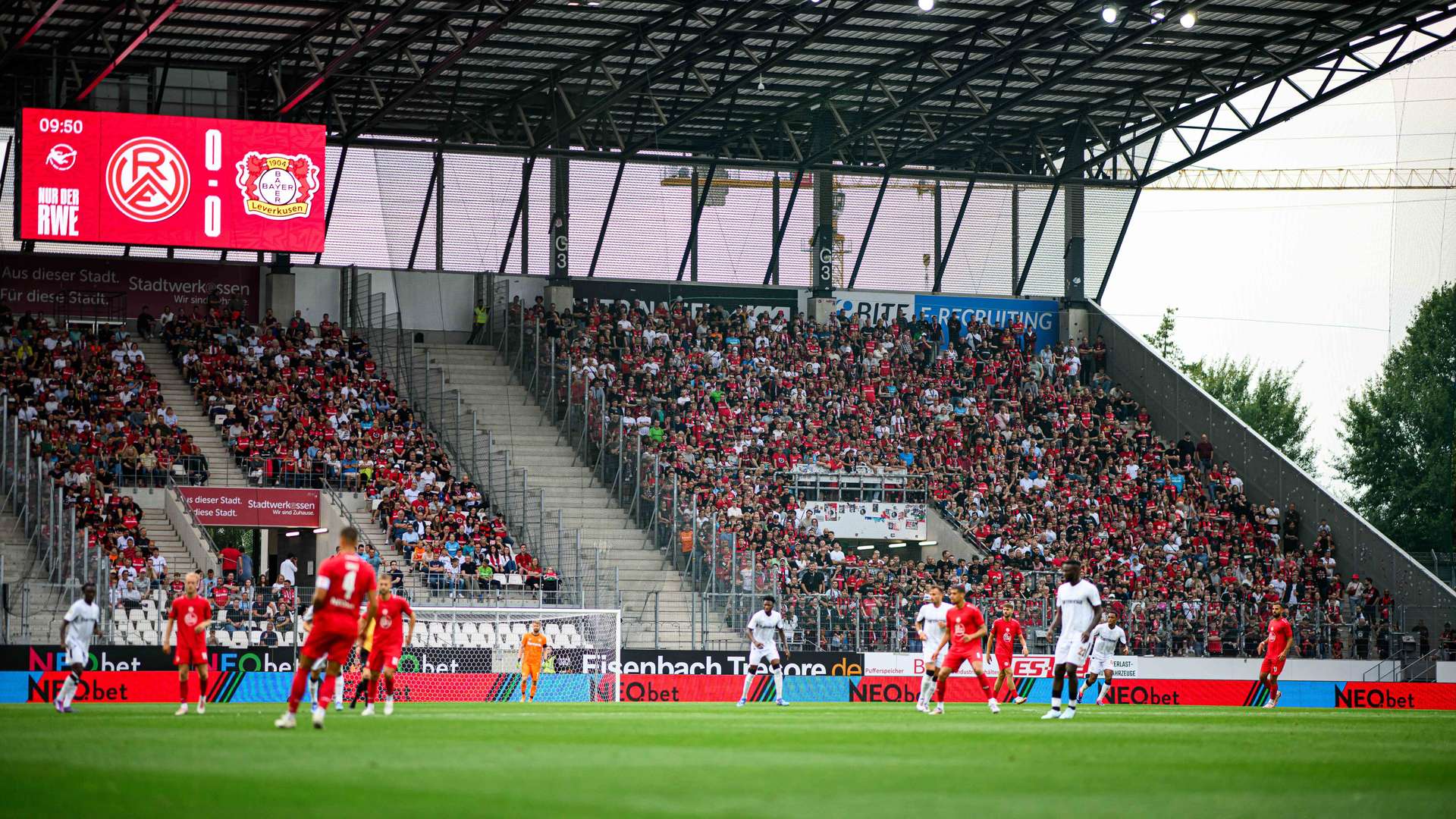 Bayer 04-Fans