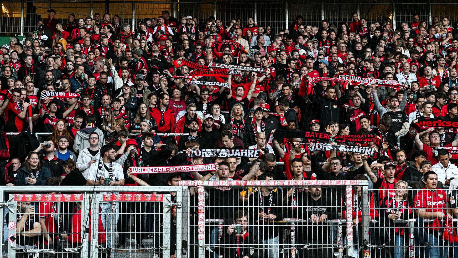 Bayer 04 fans in the Weserstadion