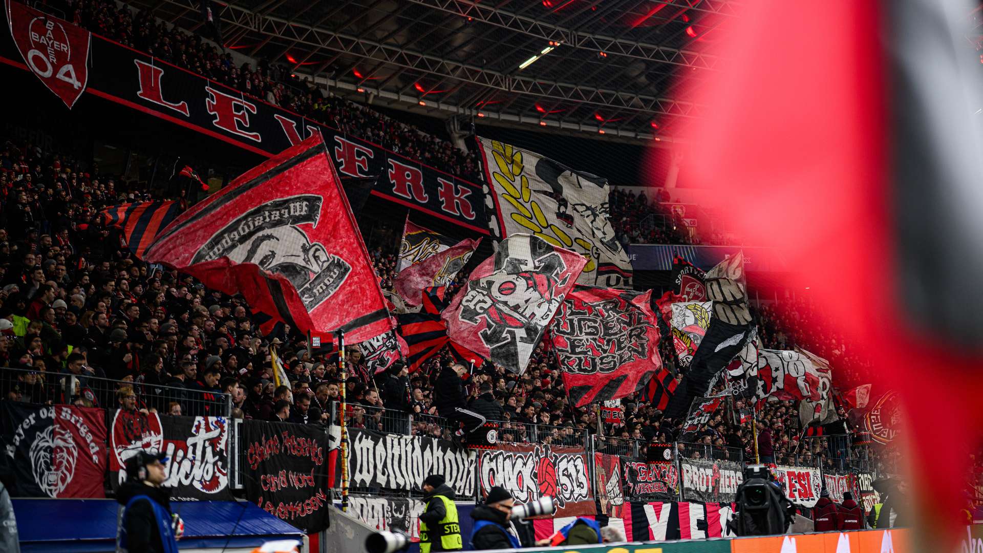 Fans in der BayArena