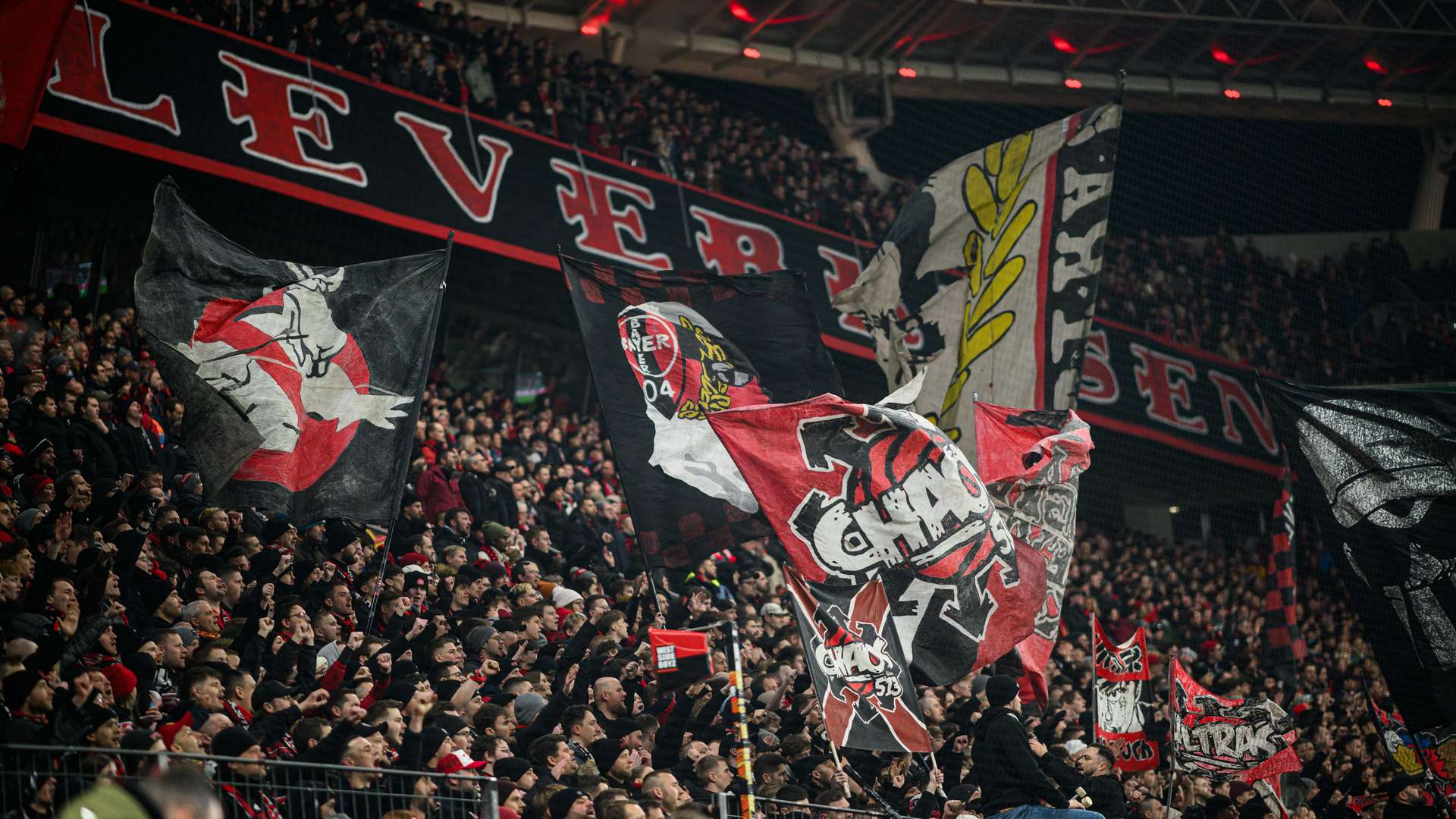 Bayer 04-Fans