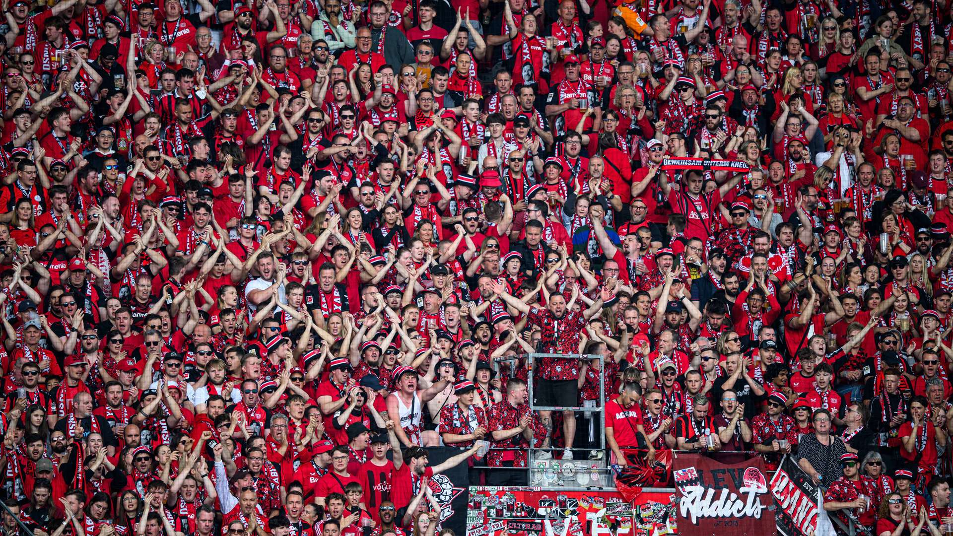 Bayer 04