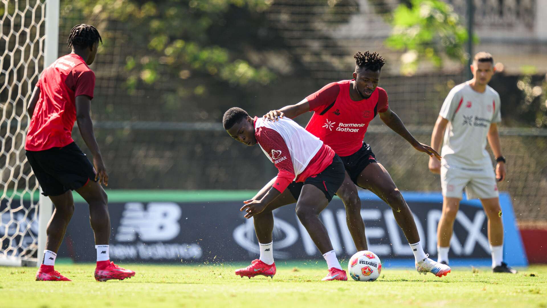 Bayer 04