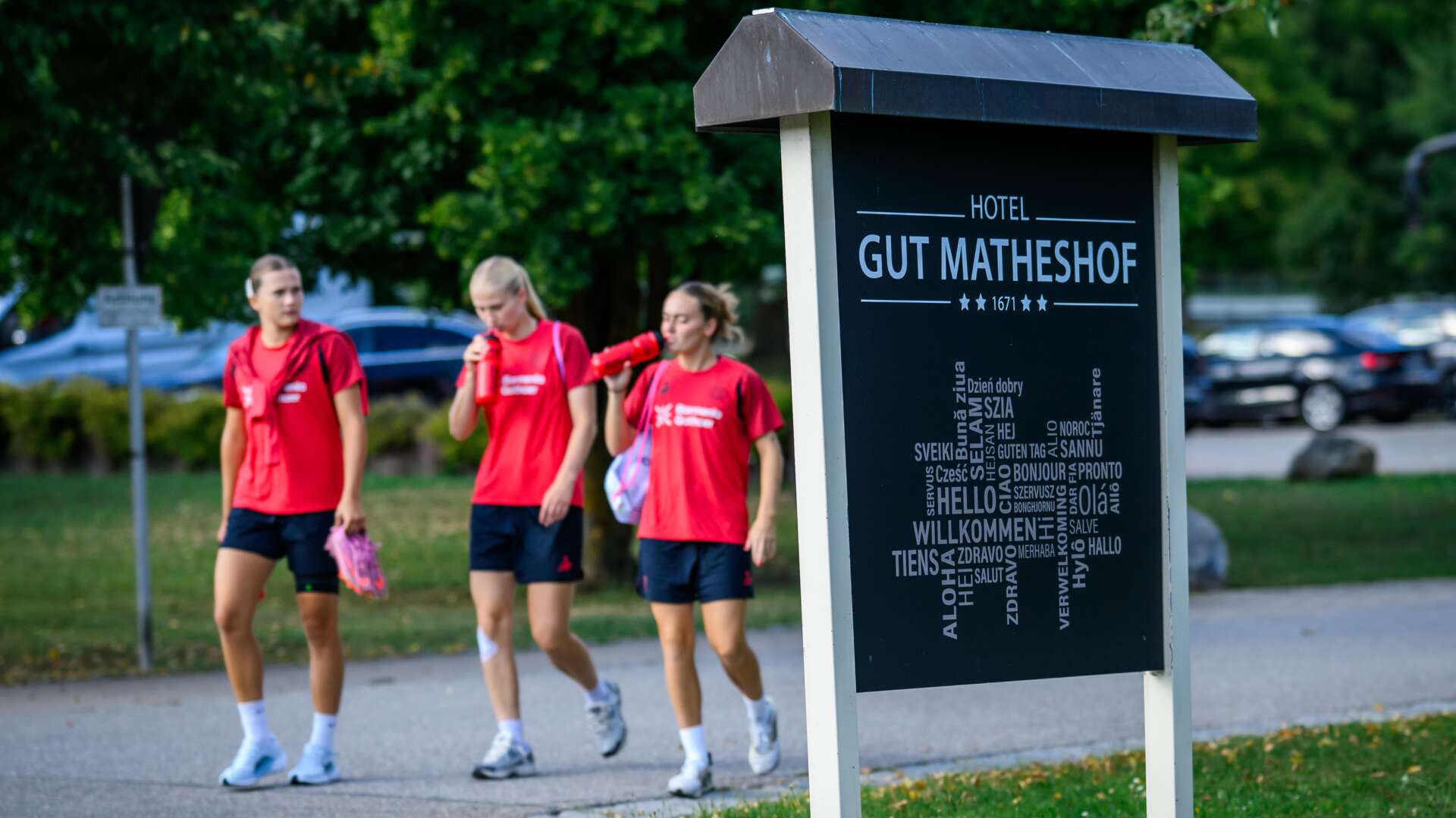 Weg zum Trainingsplatz