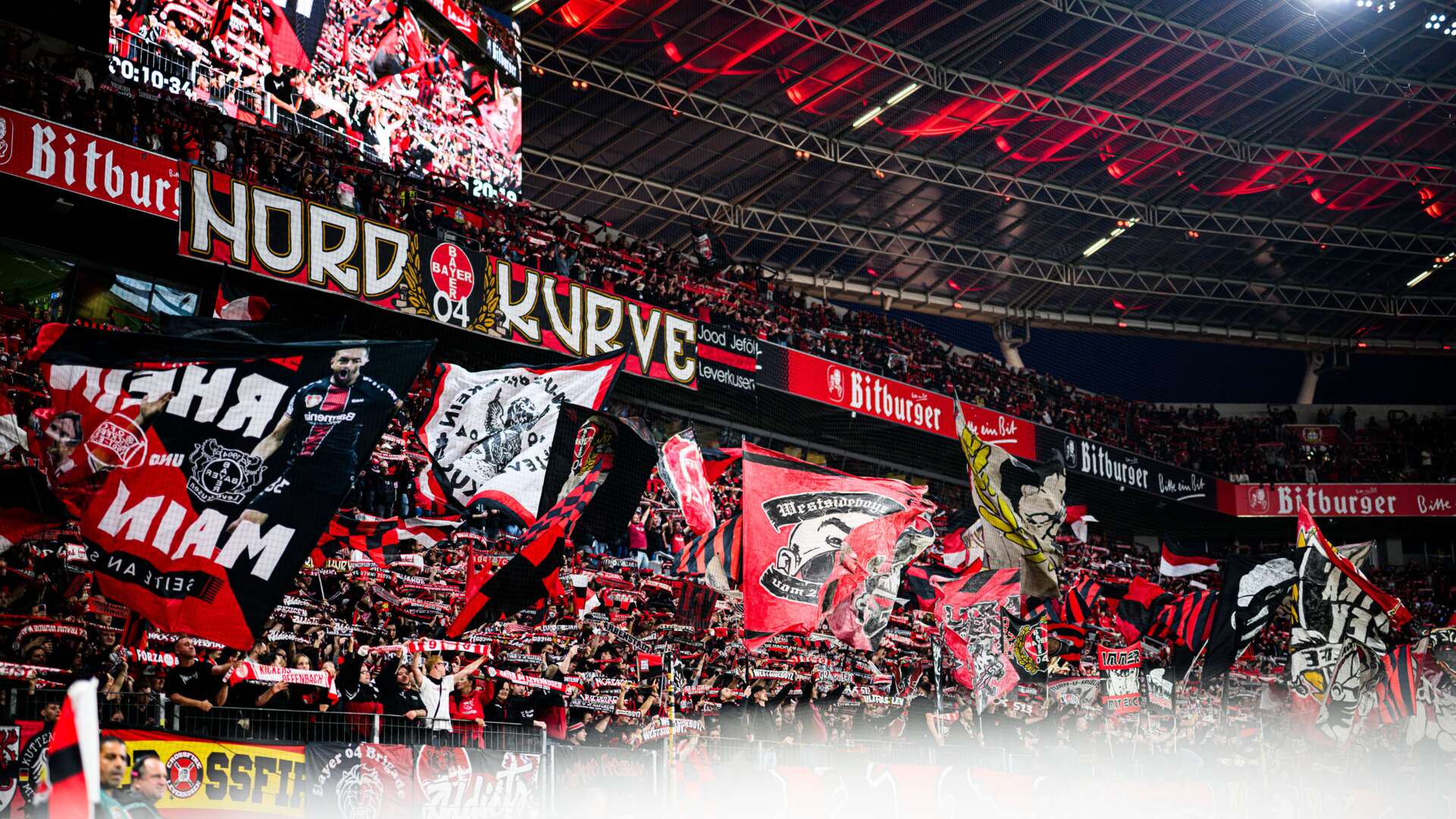 Die Fans in der Nordkurve der BayArena