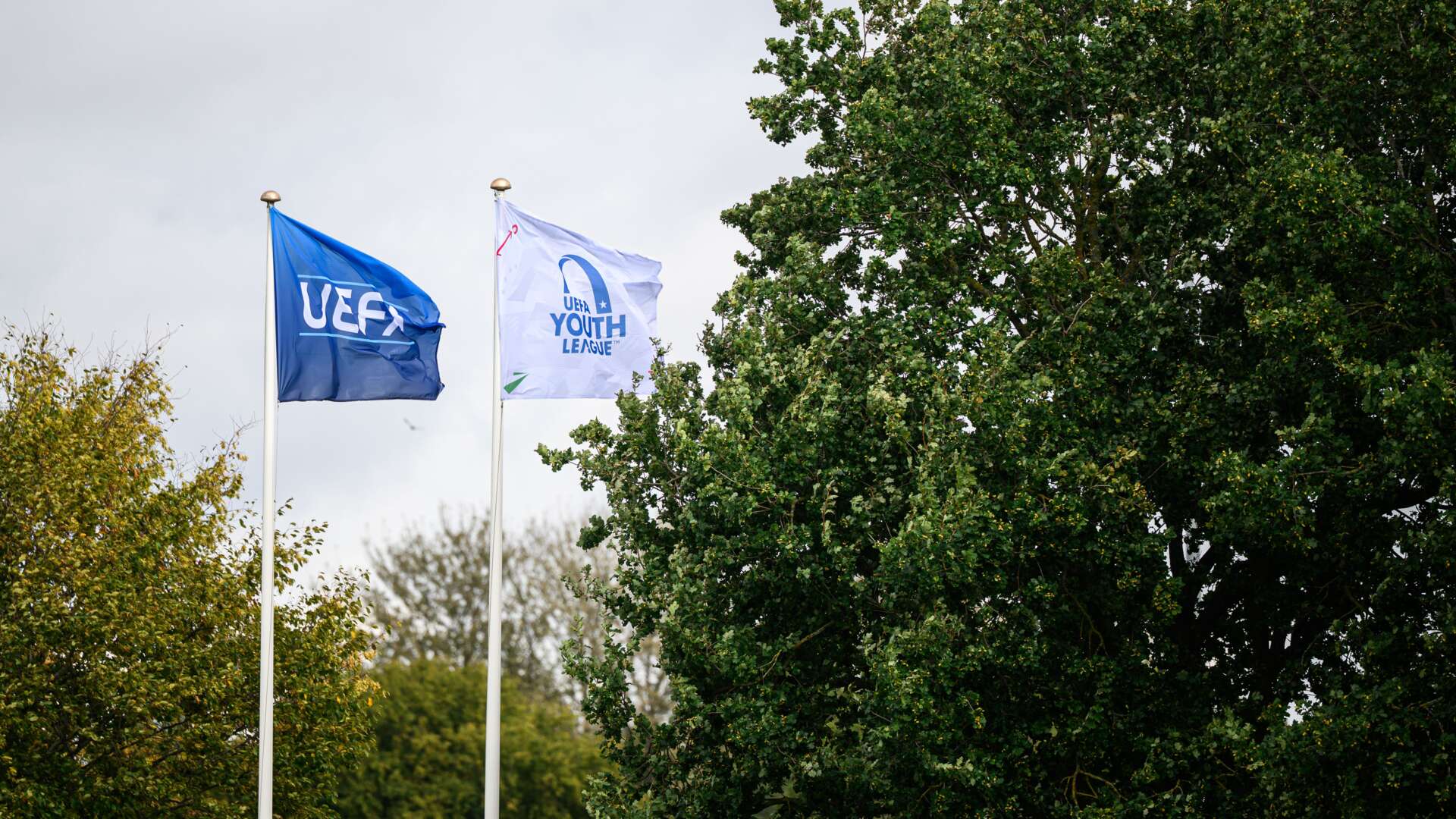 Tingbjerg Idrætspark