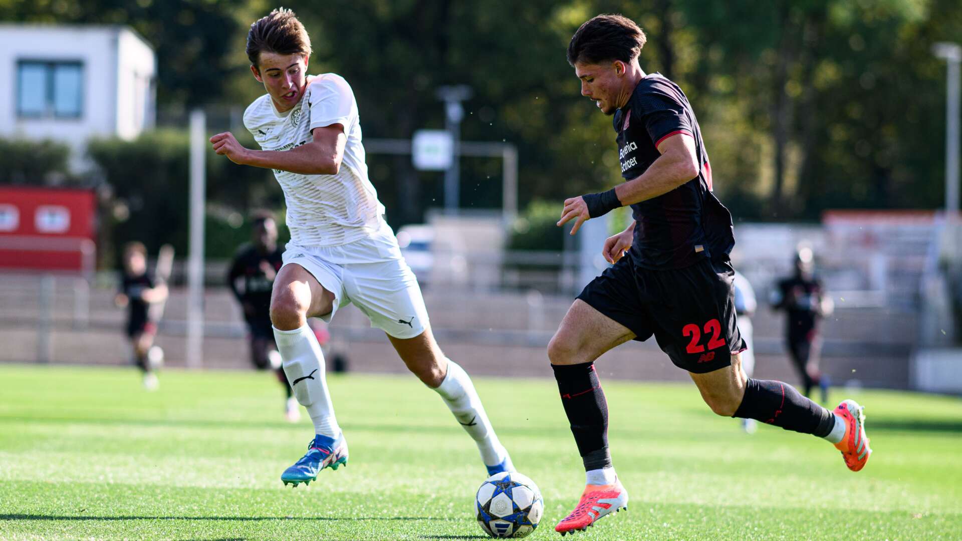 U19 gegen PSV Eindhoven