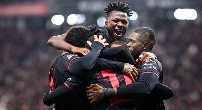 Traumtor Terrier Jubel