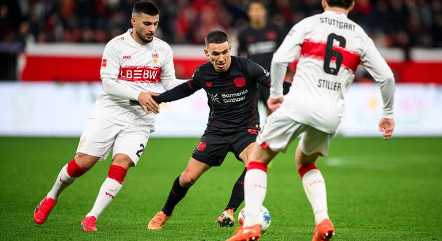 crop_20260110_FS2_9636.jpg