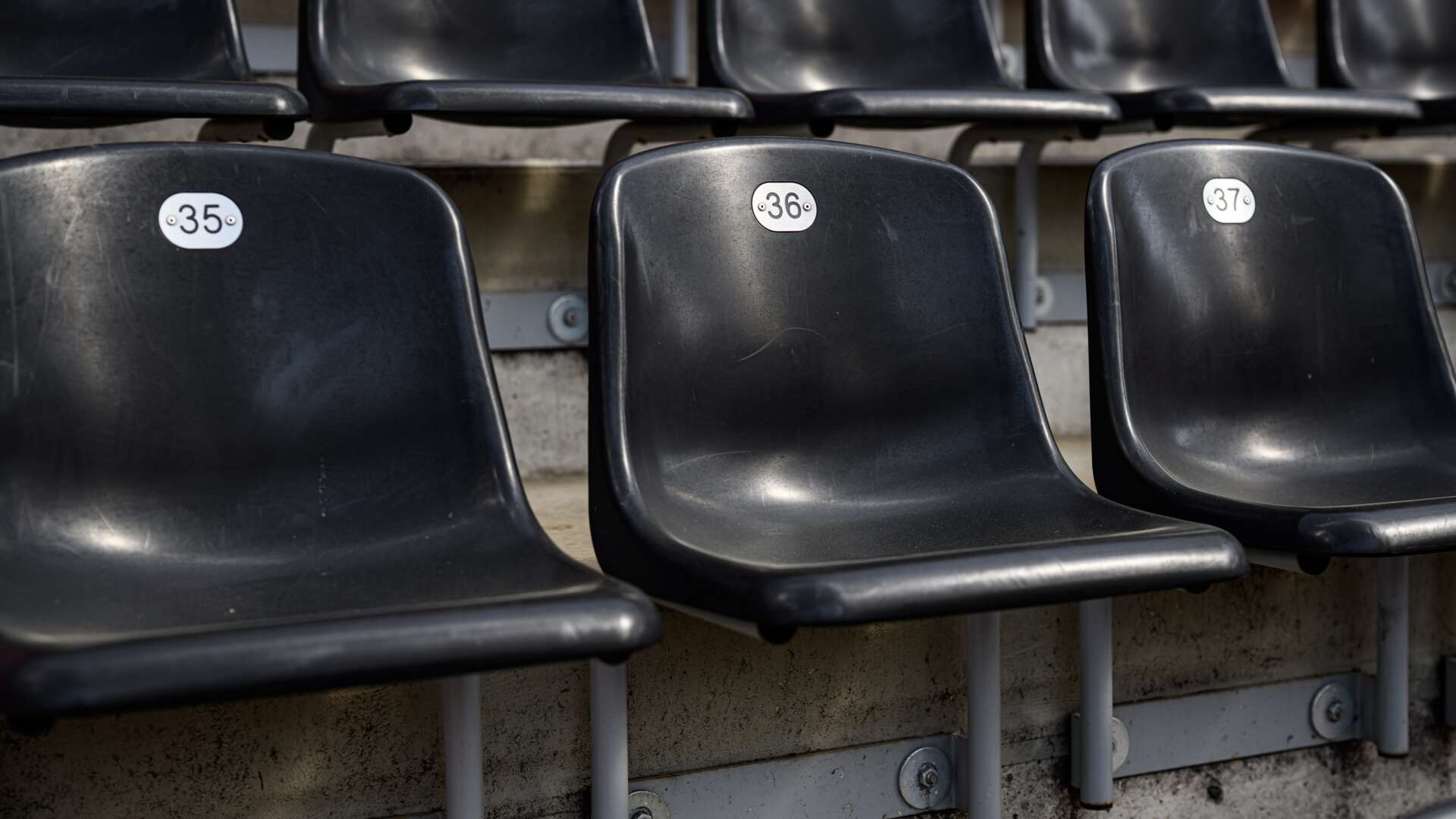 „Ungeschlagen Meister Sitz“