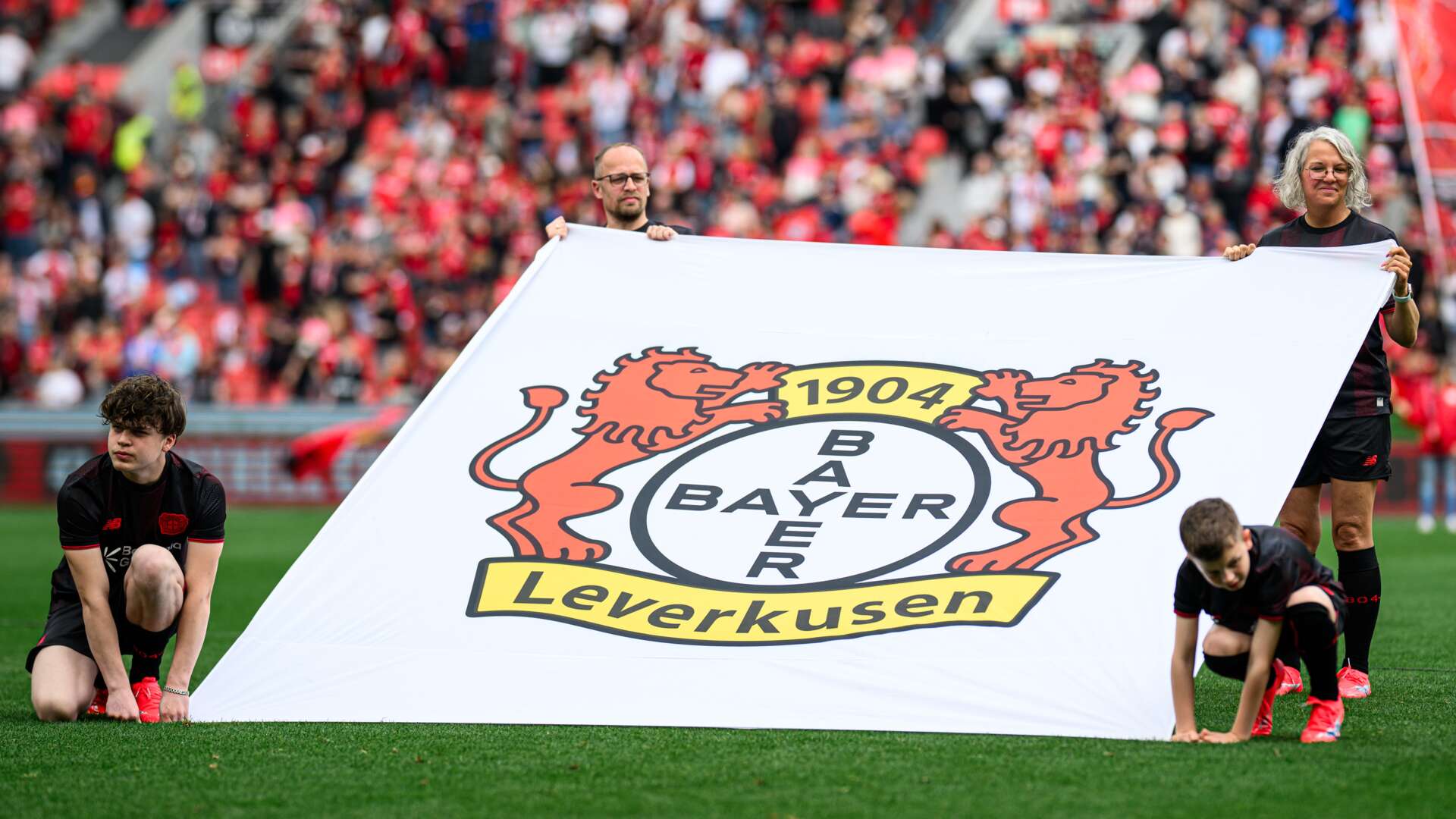 Bannerfamilie