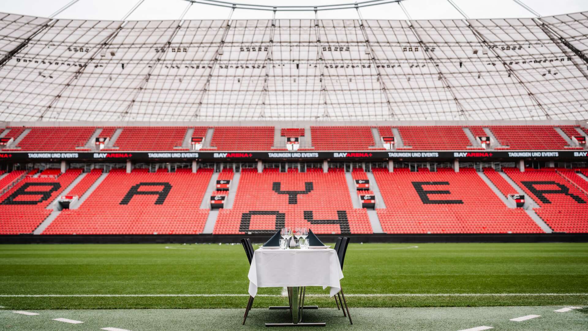Rasenkante der BayArena