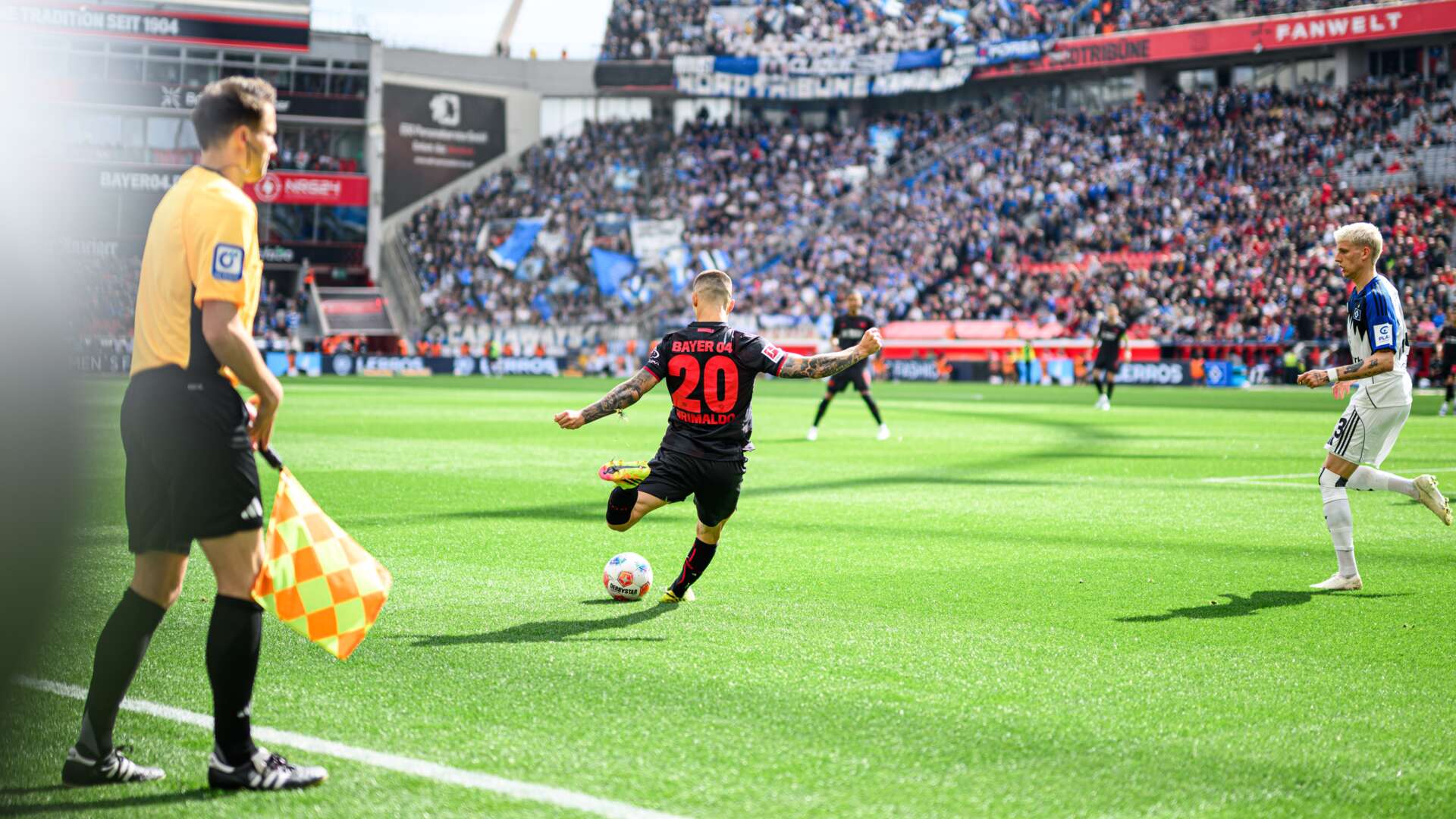 Alejandro Grimaldo gegen den HSV