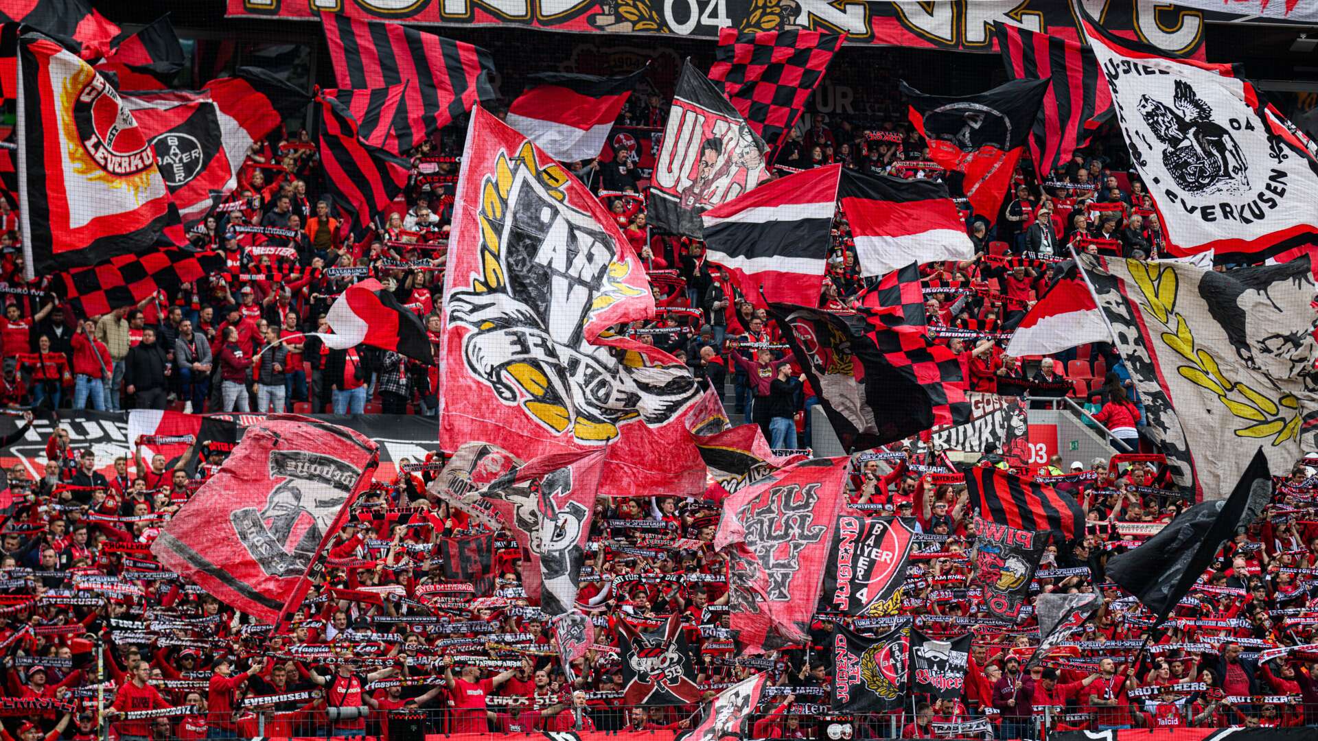 Die Bayer 04-Fans in der BayArena