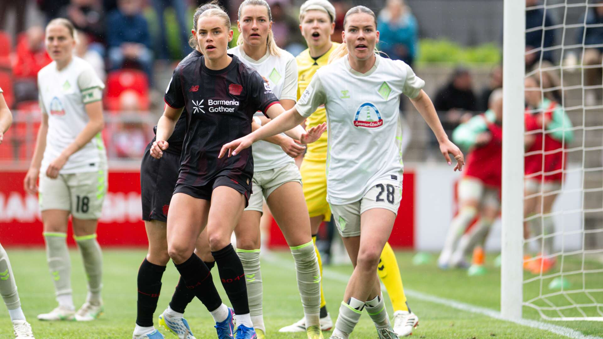 crop_20260517_NB_FB04SVW_339739.jpg