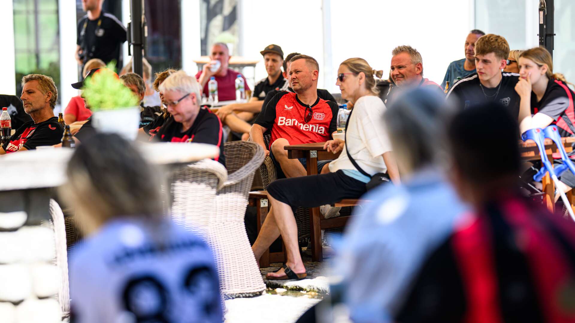 Fan-Talk mit Carro und Rolfes