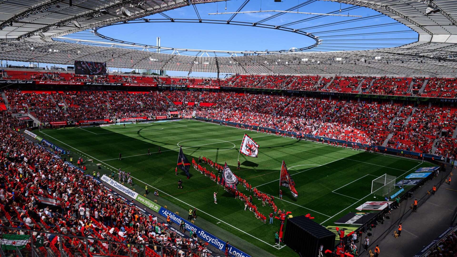 crop_20260808_VK_B04SVL_1995.jpg