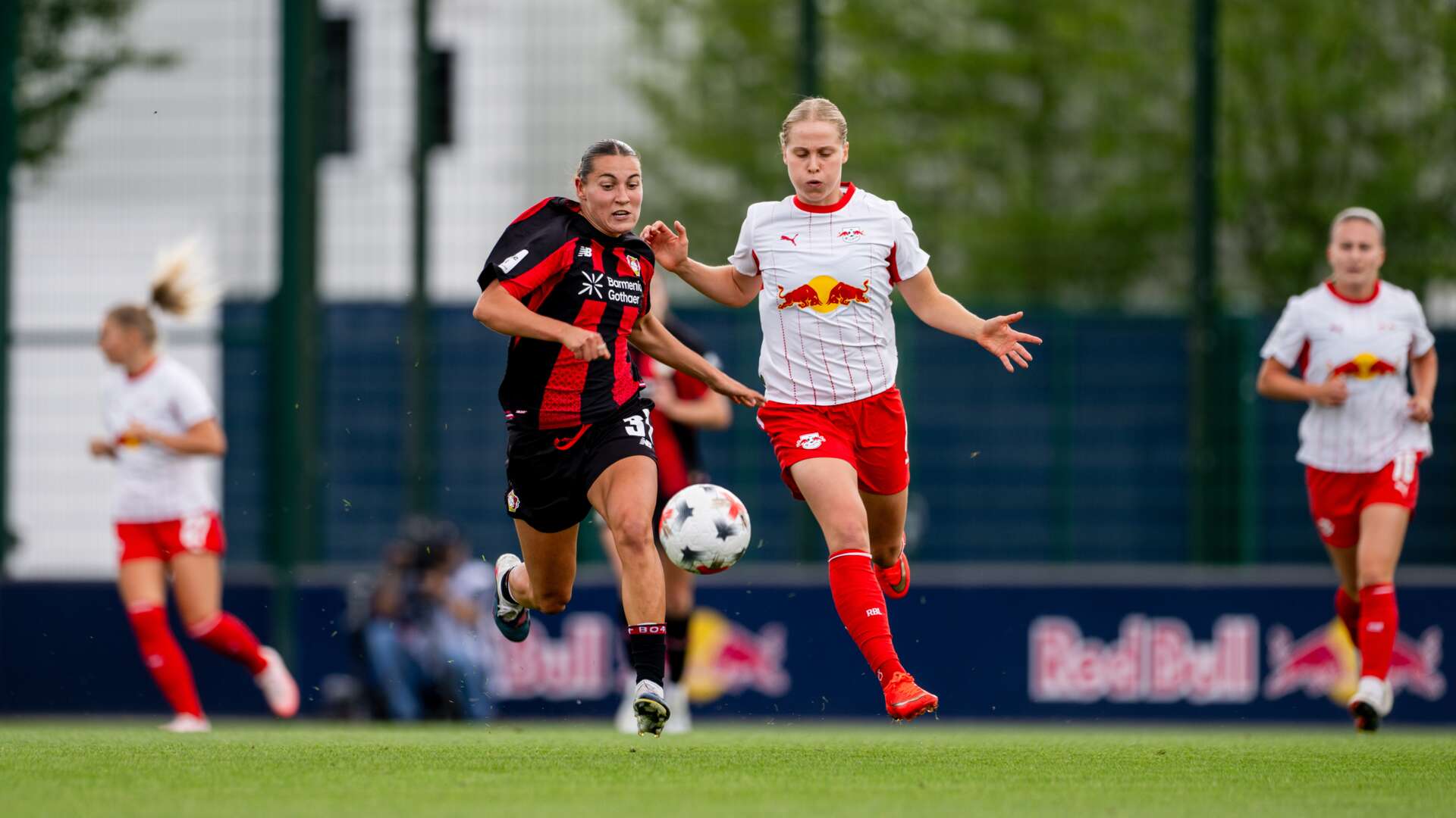 Carlotta Wamser