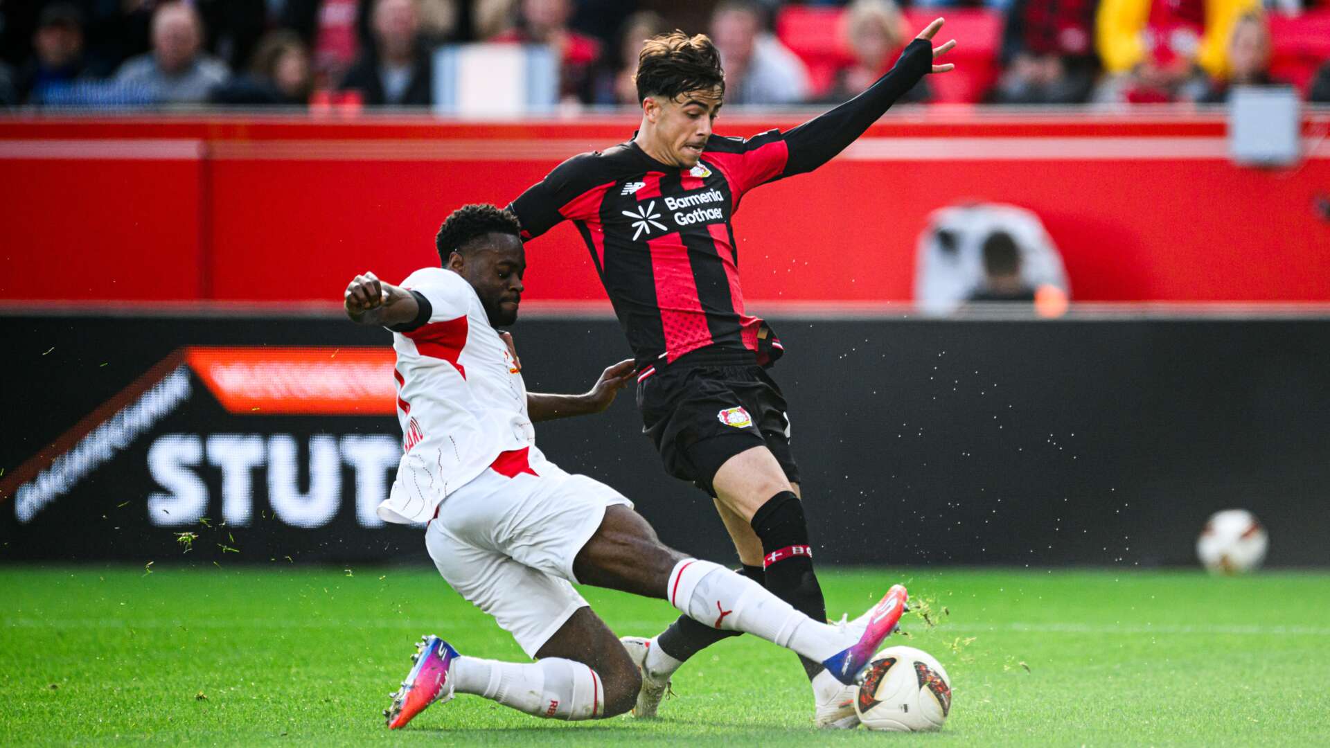 Afonso Moreira