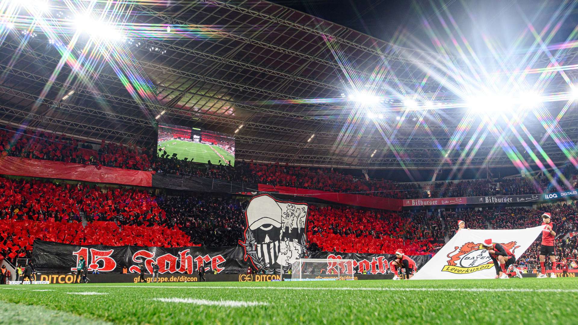 crop_241221_VK1_8312.jpg