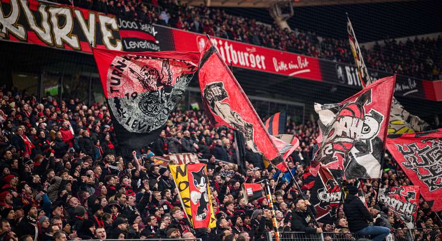 Fans